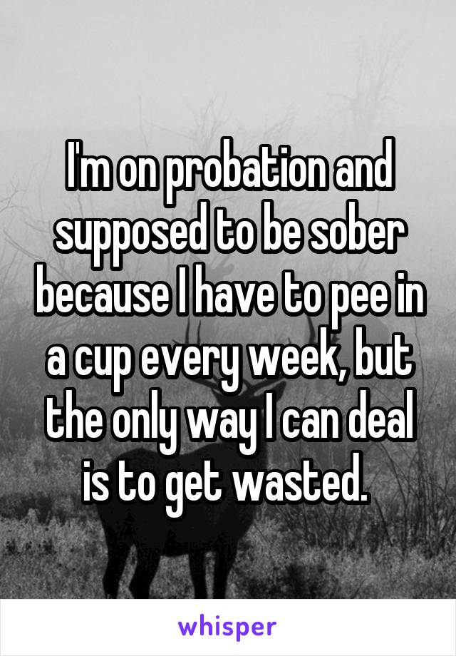 I'm on probation and supposed to be sober because I have to pee in a cup every week, but the only way I can deal is to get wasted. 