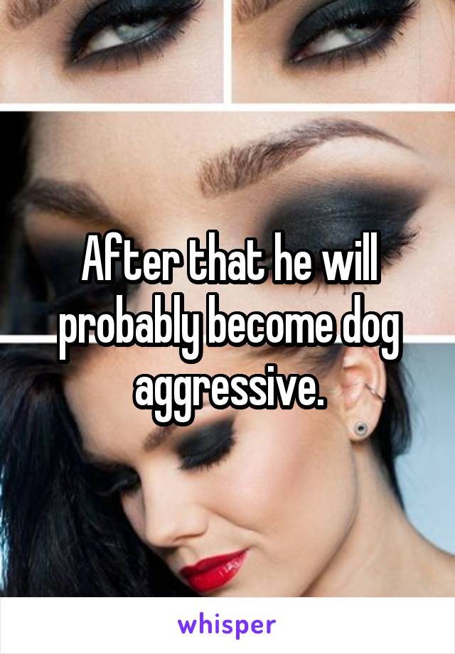 After that he will probably become dog aggressive.