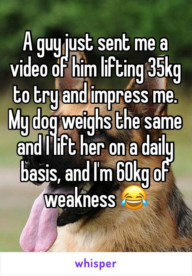 A guy just sent me a video of him lifting 35kg to try and impress me. My dog weighs the same and I lift her on a daily basis, and I'm 60kg of weakness 😂