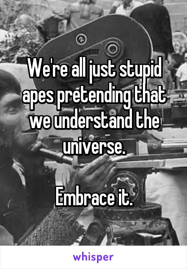 We're all just stupid apes pretending that we understand the universe.

Embrace it.