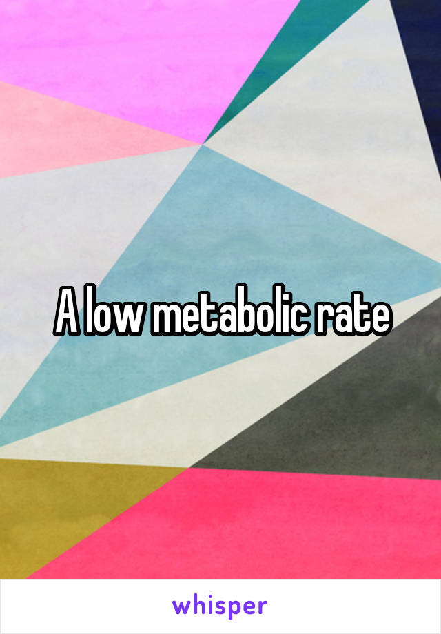 A low metabolic rate