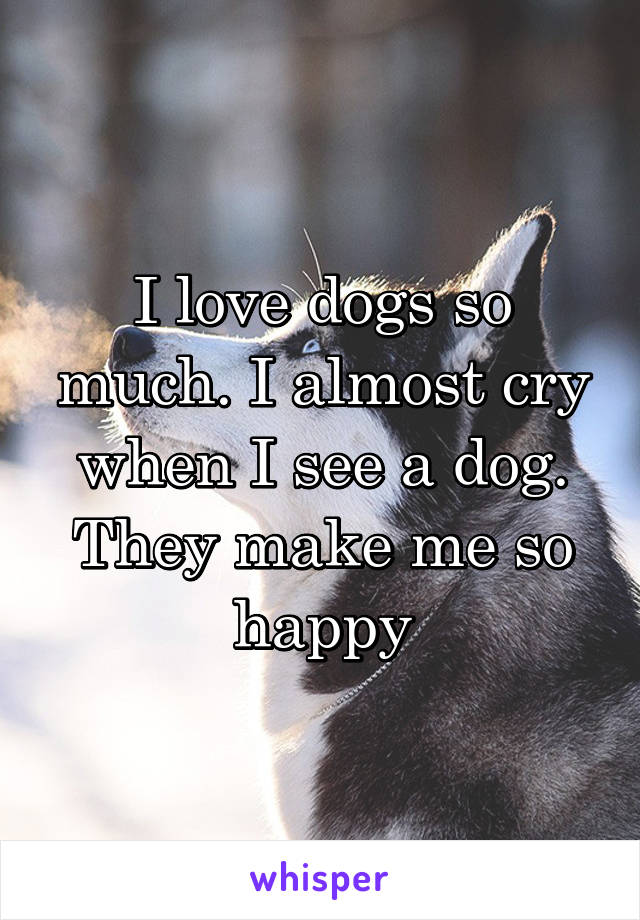 I love dogs so much. I almost cry when I see a dog. They make me so happy