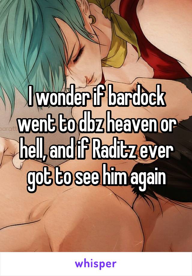 I wonder if bardock went to dbz heaven or hell, and if Raditz ever got to see him again