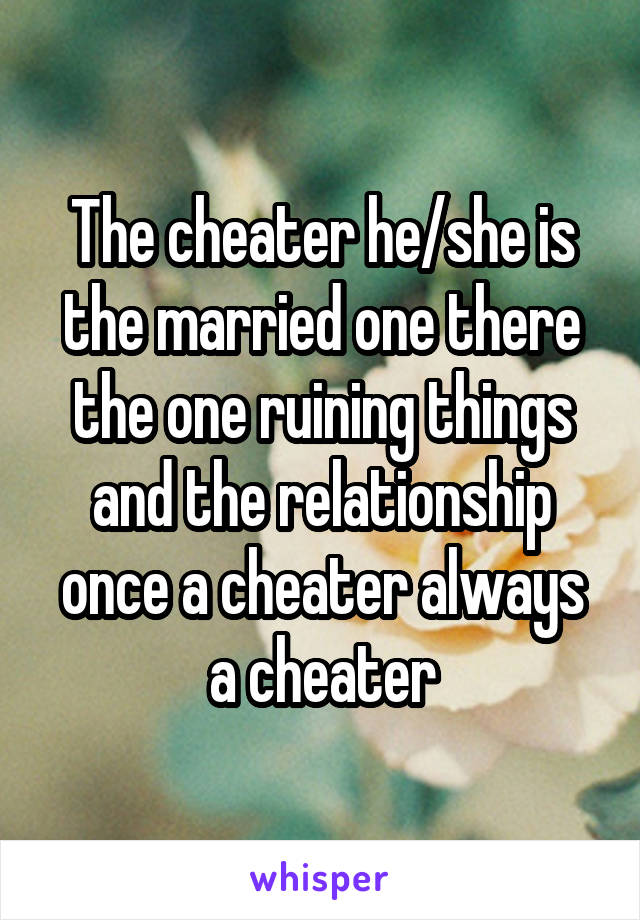 The cheater he/she is the married one there the one ruining things and the relationship once a cheater always a cheater