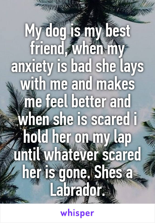 My dog is my best friend, when my anxiety is bad she lays with me and makes me feel better and when she is scared i hold her on my lap until whatever scared her is gone. Shes a Labrador.