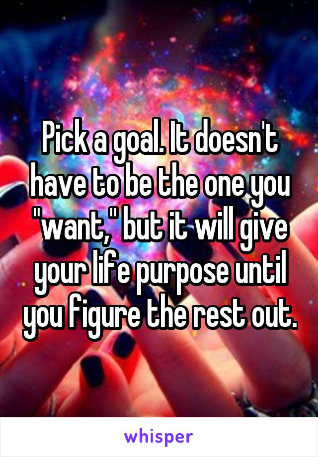 Pick a goal. It doesn't have to be the one you "want," but it will give your life purpose until you figure the rest out.