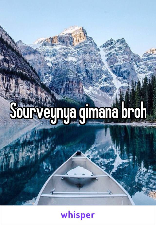 Sourveynya gimana broh