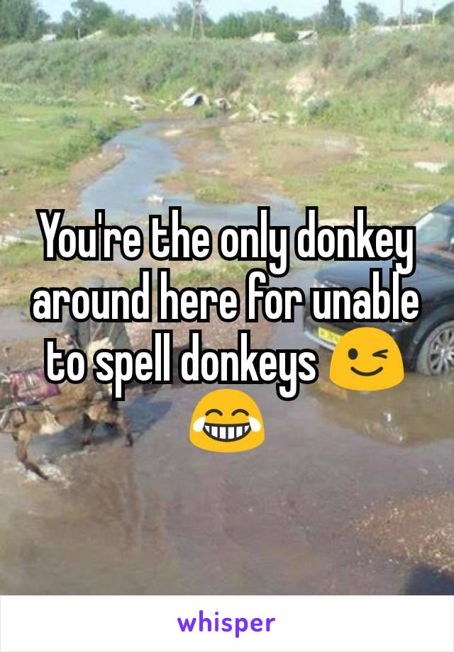 You're the only donkey around here for unable to spell donkeys 😉😂