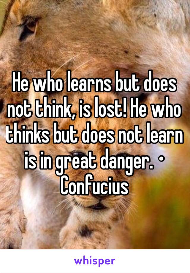 He who learns but does not think, is lost! He who thinks but does not learn is in great danger. • Confucius