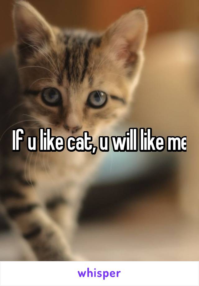 If u like cat, u will like me