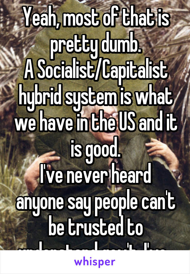 Yeah, most of that is pretty dumb.
A Socialist/Capitalist hybrid system is what we have in the US and it is good.
I've never heard anyone say people can't be trusted to understand gov't, I've..