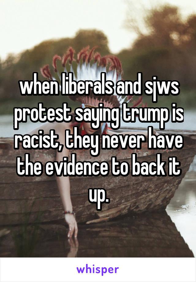 when liberals and sjws protest saying trump is racist, they never have the evidence to back it up.