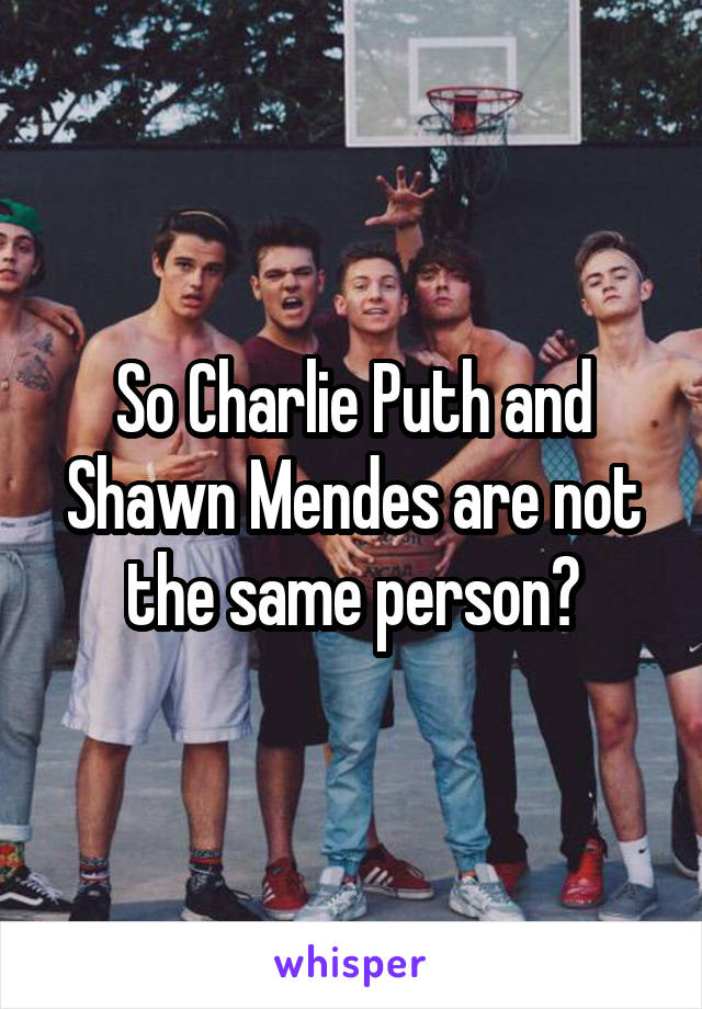 So Charlie Puth and Shawn Mendes are not the same person?