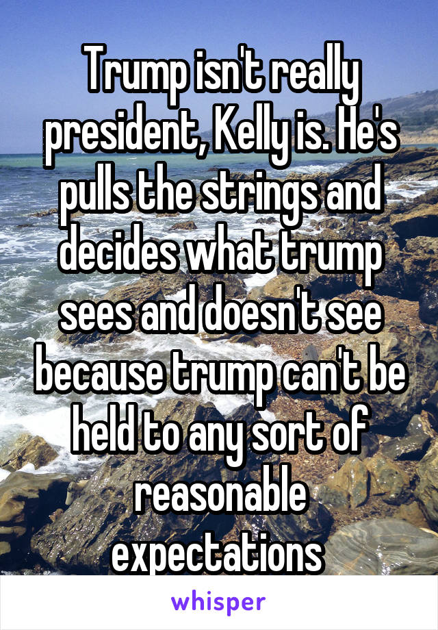 Trump isn't really president, Kelly is. He's pulls the strings and decides what trump sees and doesn't see because trump can't be held to any sort of reasonable expectations 