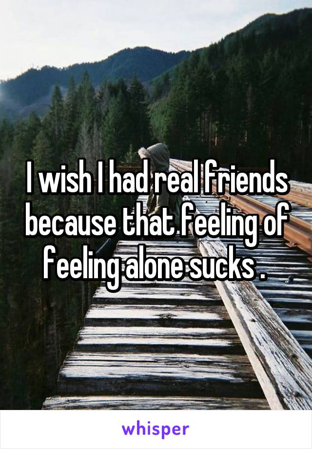 I wish I had real friends because that feeling of feeling alone sucks . 