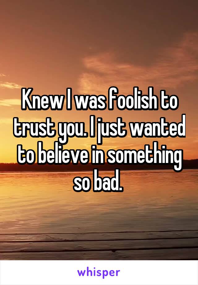 Knew I was foolish to trust you. I just wanted to believe in something so bad. 