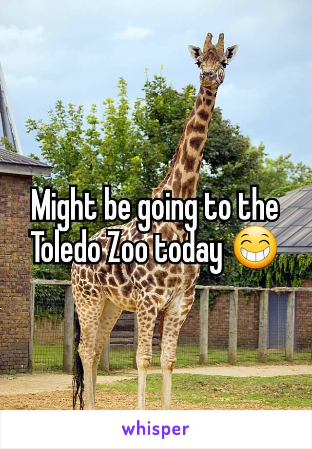 Might be going to the Toledo Zoo today 😁