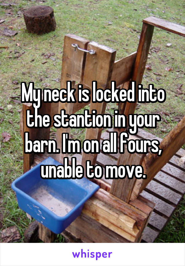 My neck is locked into the stantion in your barn. I'm on all fours, unable to move.