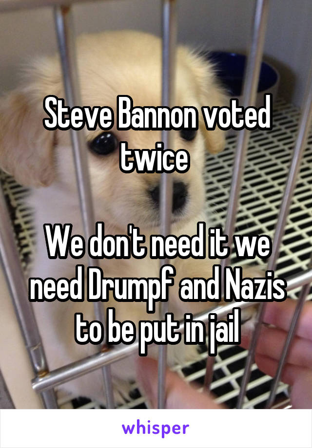 Steve Bannon voted twice 

We don't need it we need Drumpf and Nazis to be put in jail