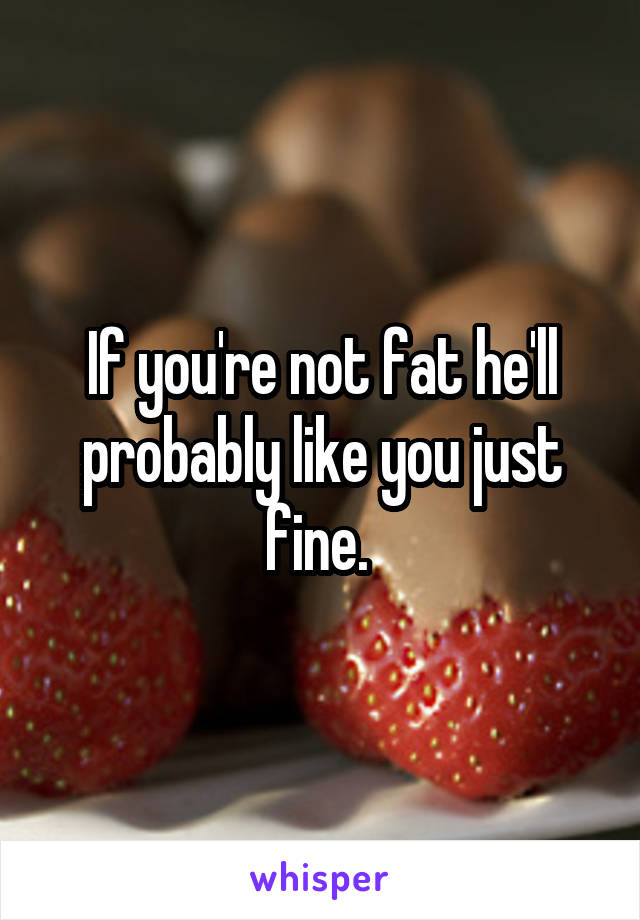 If you're not fat he'll probably like you just fine. 