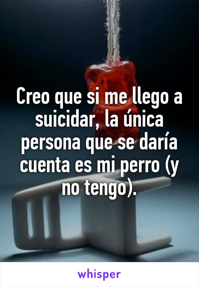 Creo que si me llego a suicidar, la única persona que se daría cuenta es mi perro (y no tengo).