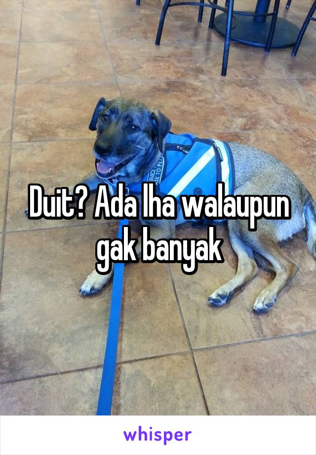 Duit? Ada lha walaupun gak banyak