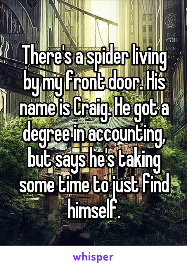 There's a spider living by my front door. His name is Craig. He got a degree in accounting, but says he's taking some time to just find himself.