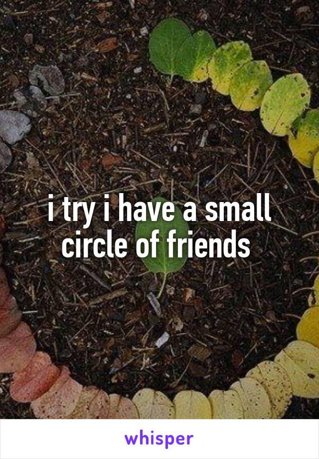 i try i have a small circle of friends 