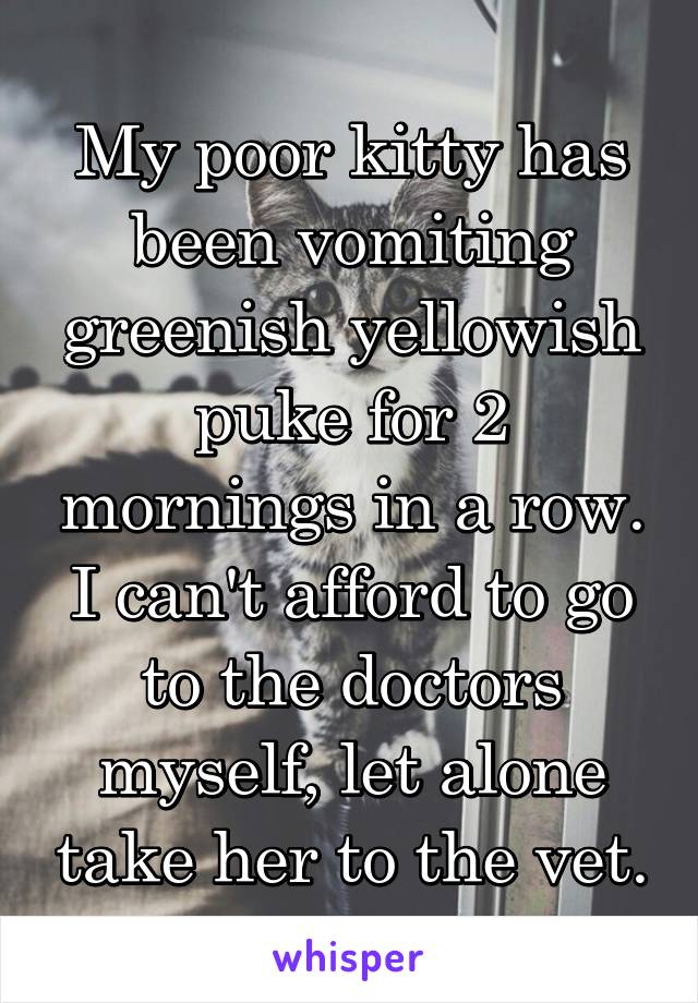 My poor kitty has been vomiting greenish yellowish puke for 2 mornings in a row. I can't afford to go to the doctors myself, let alone take her to the vet.