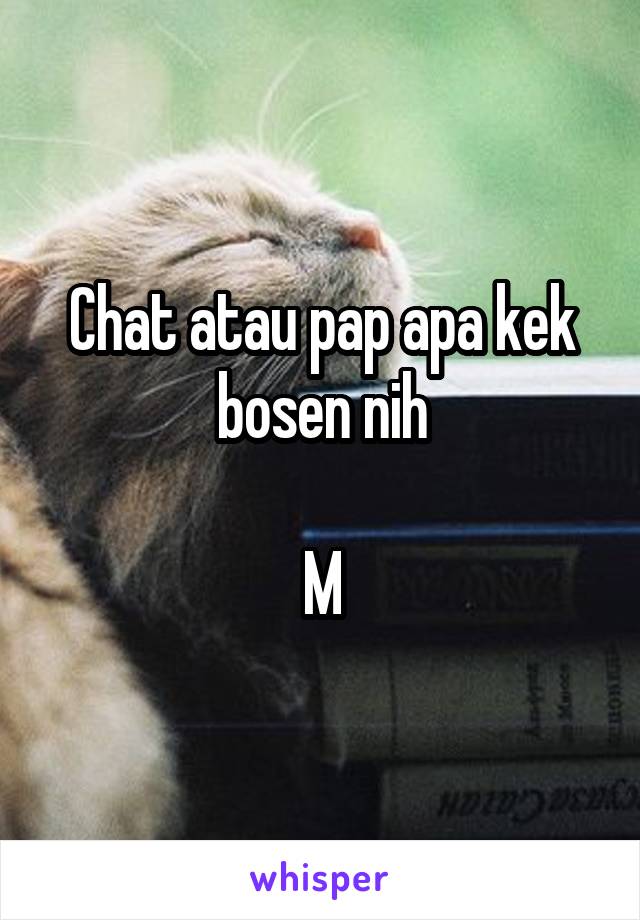 Chat atau pap apa kek bosen nih

M