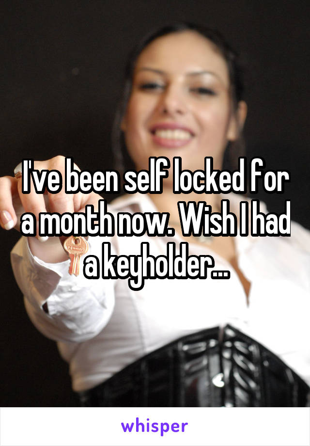 I've been self locked for a month now. Wish I had a keyholder...