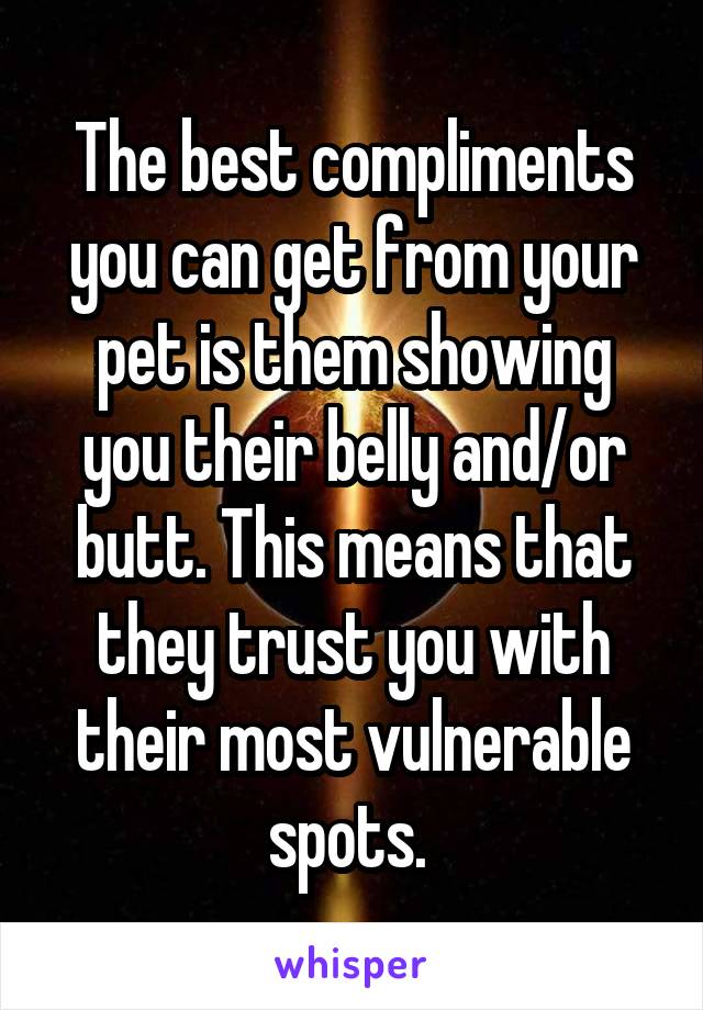 The best compliments you can get from your pet is them showing you their belly and/or butt. This means that they trust you with their most vulnerable spots. 