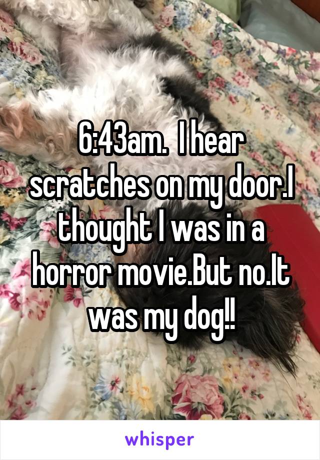 6:43am.  I hear scratches on my door.I thought I was in a horror movie.But no.It was my dog!!