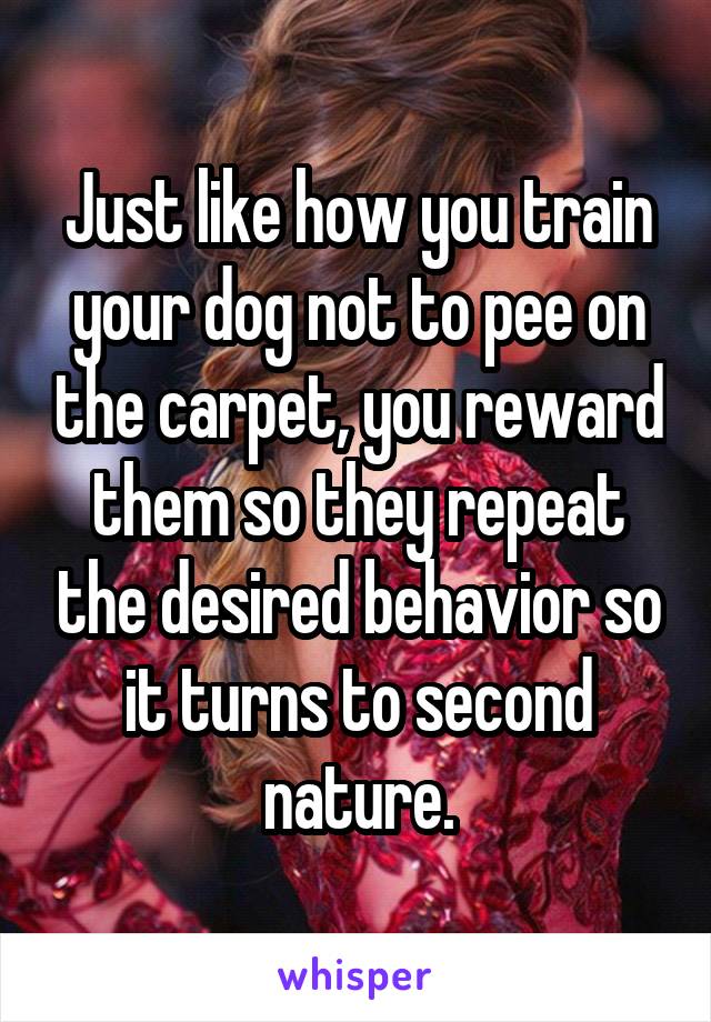 Just like how you train your dog not to pee on the carpet, you reward them so they repeat the desired behavior so it turns to second nature.