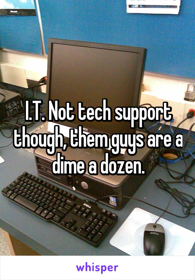 I.T. Not tech support though, them guys are a dime a dozen.