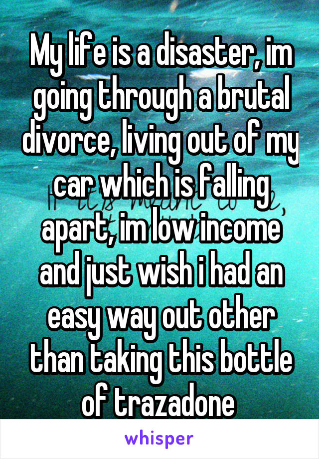 My life is a disaster, im going through a brutal divorce, living out of my car which is falling apart, im low income and just wish i had an easy way out other than taking this bottle of trazadone 