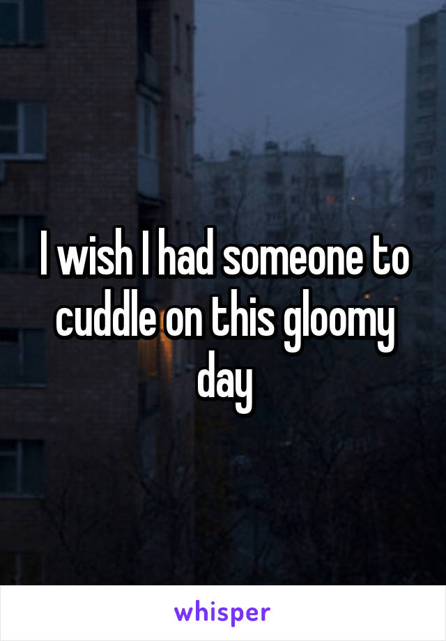 I wish I had someone to cuddle on this gloomy day