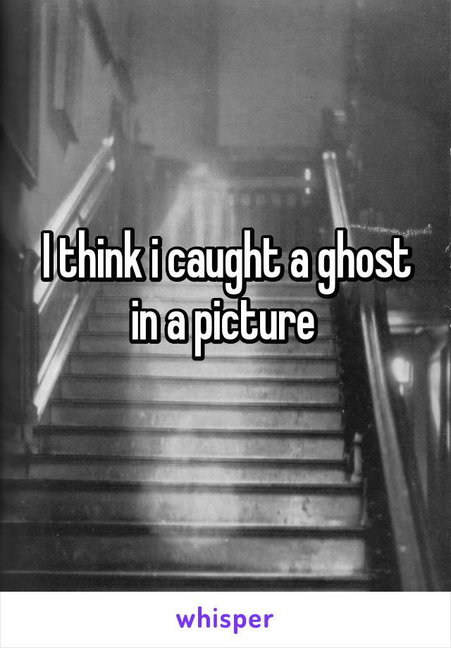 I think i caught a ghost in a picture 
