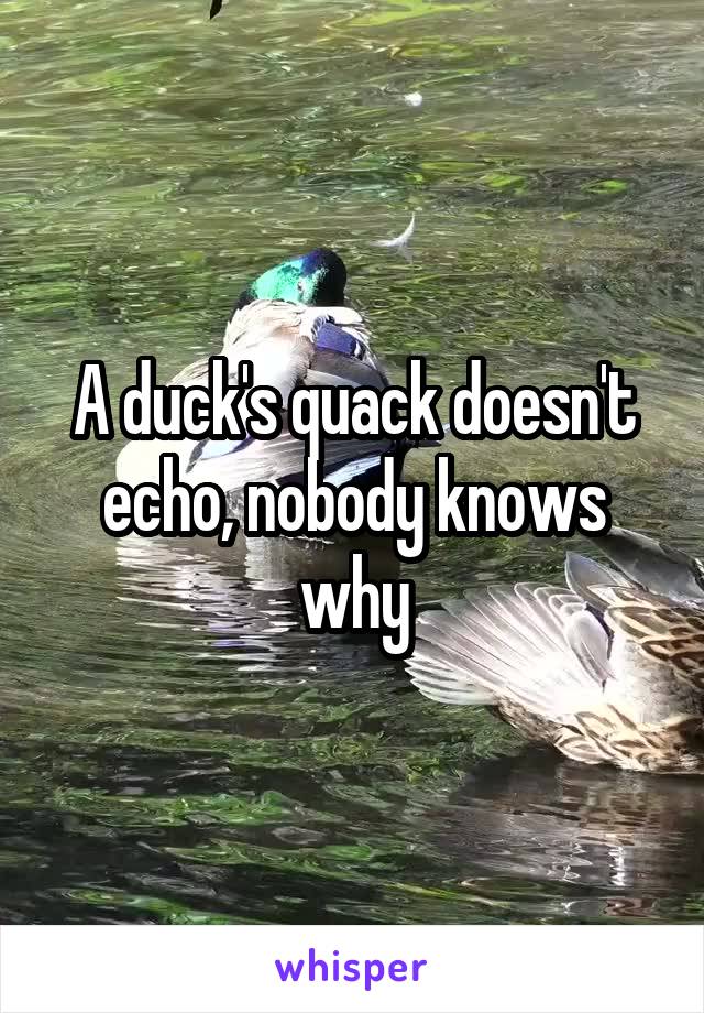 A duck's quack doesn't echo, nobody knows why