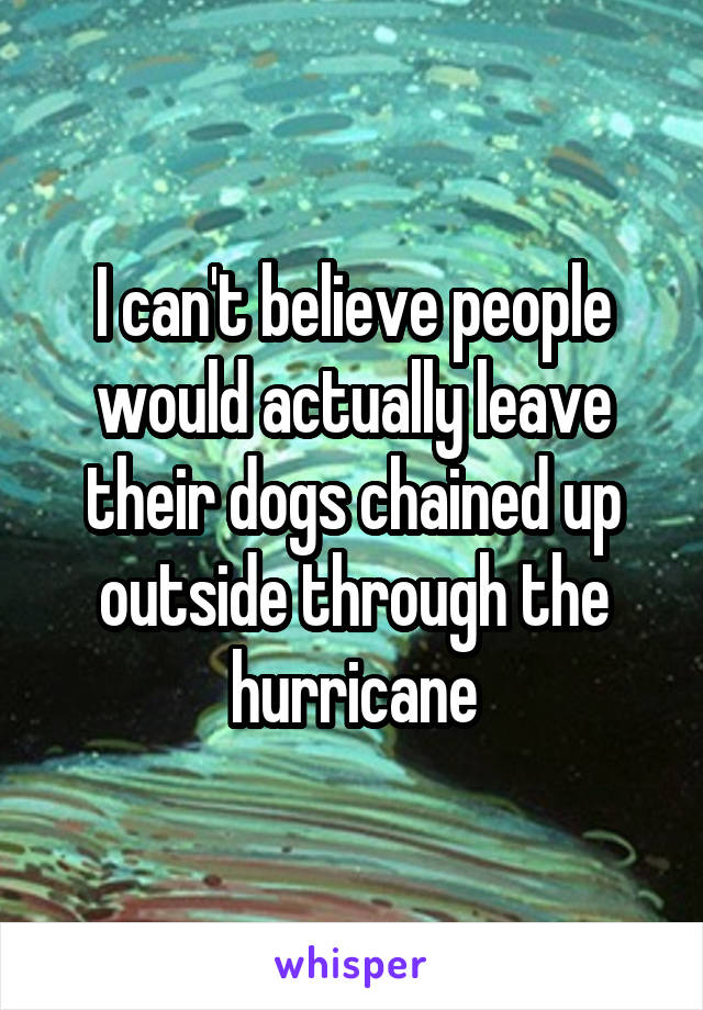 I can't believe people would actually leave their dogs chained up outside through the hurricane