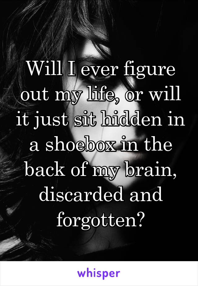 Will I ever figure out my life, or will it just sit hidden in a shoebox in the back of my brain, discarded and forgotten?