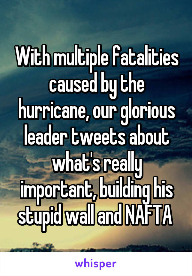 With multiple fatalities caused by the hurricane, our glorious leader tweets about what's really important, building his stupid wall and NAFTA 