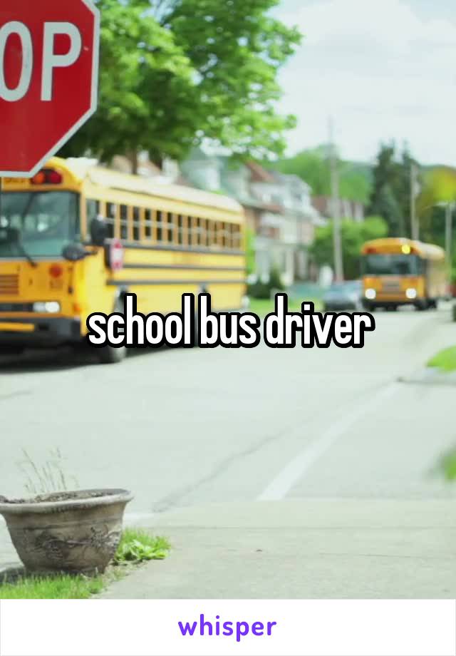  school bus driver 