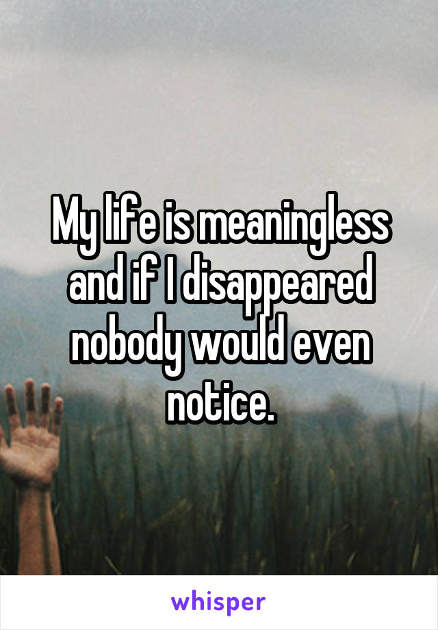 My life is meaningless and if I disappeared nobody would even notice.