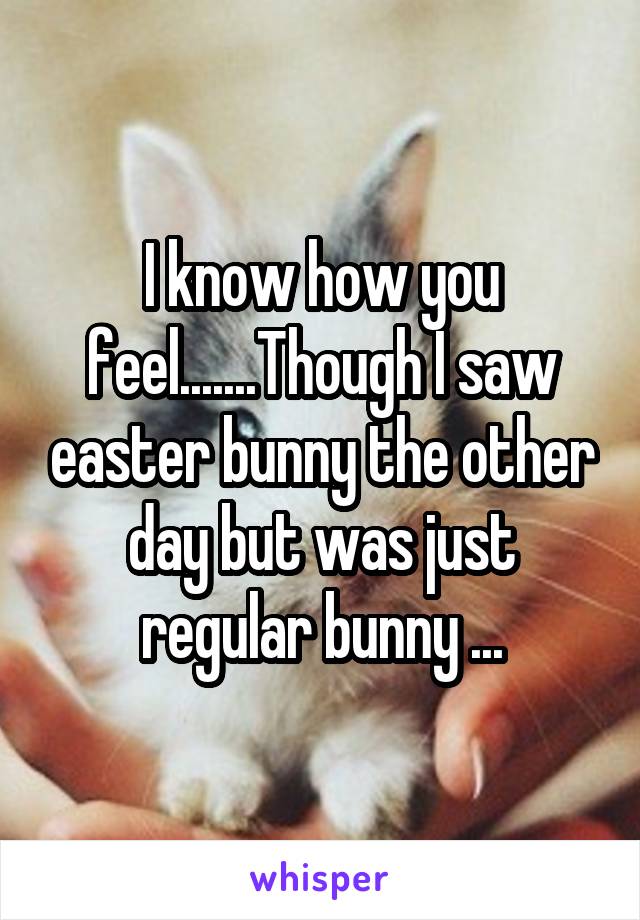 I know how you feel.......Though I saw easter bunny the other day but was just regular bunny ...