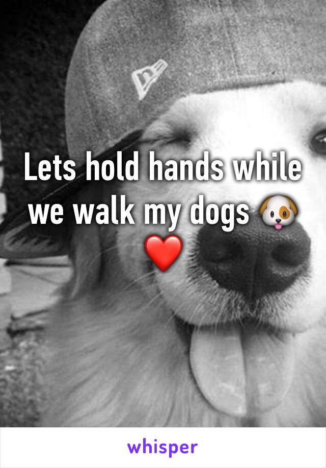 Lets hold hands while we walk my dogs 🐶❤️