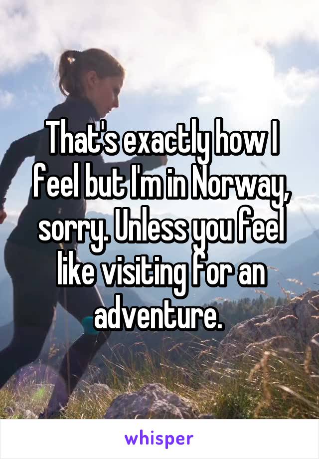 That's exactly how I feel but I'm in Norway, sorry. Unless you feel like visiting for an adventure. 