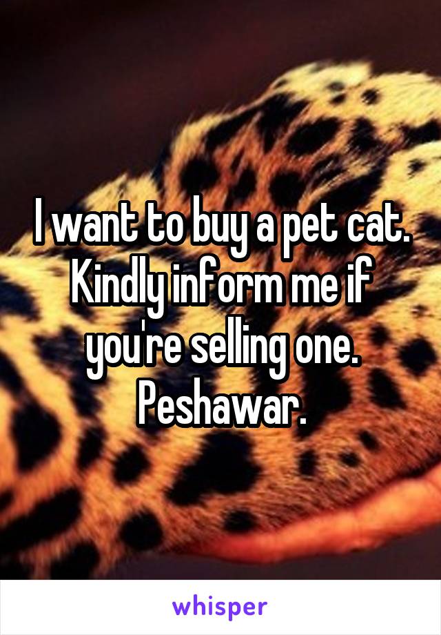 I want to buy a pet cat. Kindly inform me if you're selling one. Peshawar.