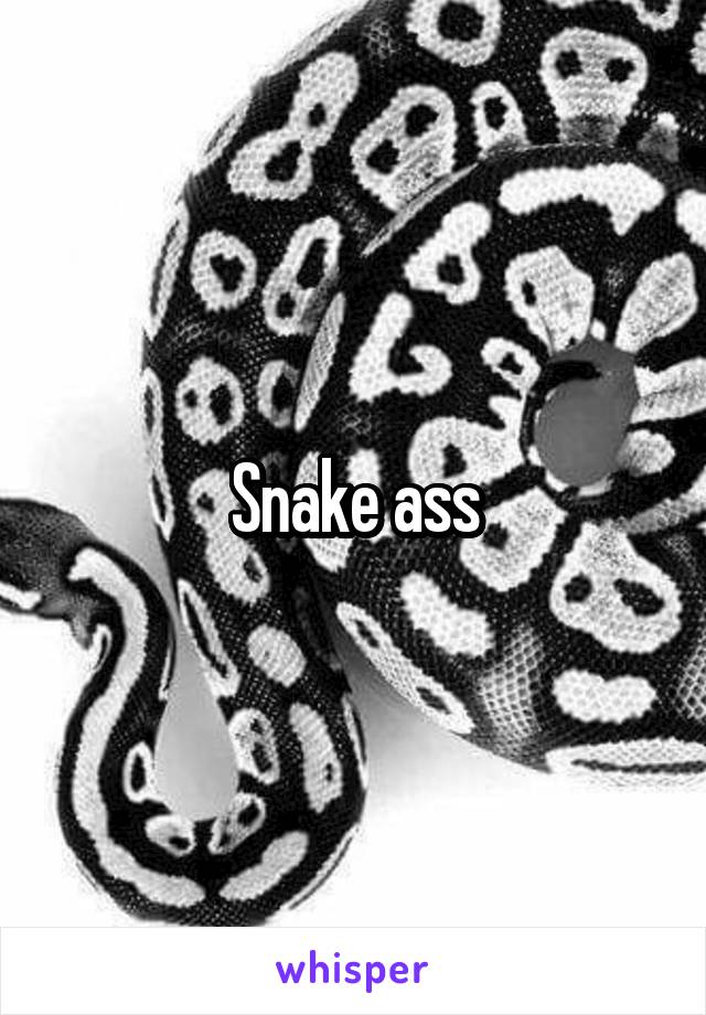 Snake ass