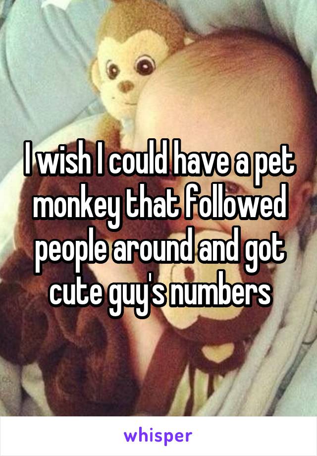 I wish I could have a pet monkey that followed people around and got cute guy's numbers